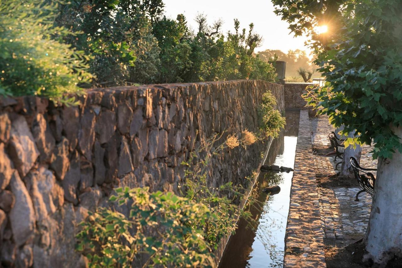 Chateau Saint Roux Le Luc-Le Cannet Des Maures Екстер'єр фото