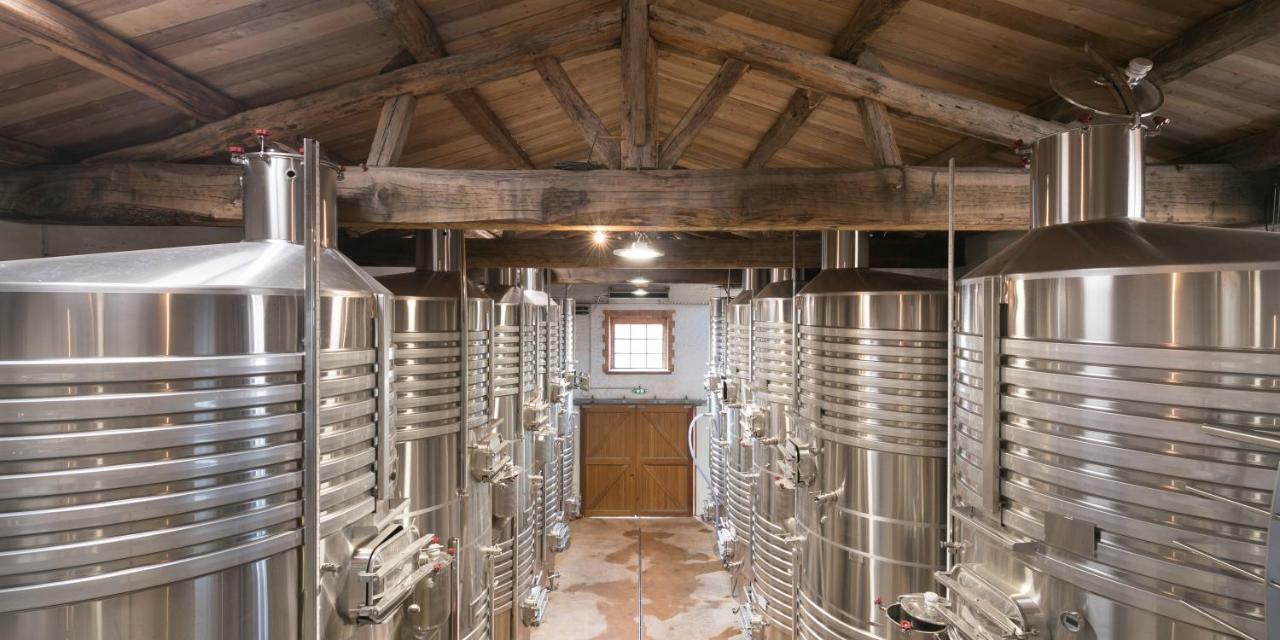 Chateau Saint Roux Le Luc-Le Cannet Des Maures Екстер'єр фото